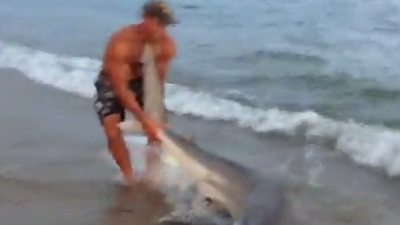 Man Wrestles Shark