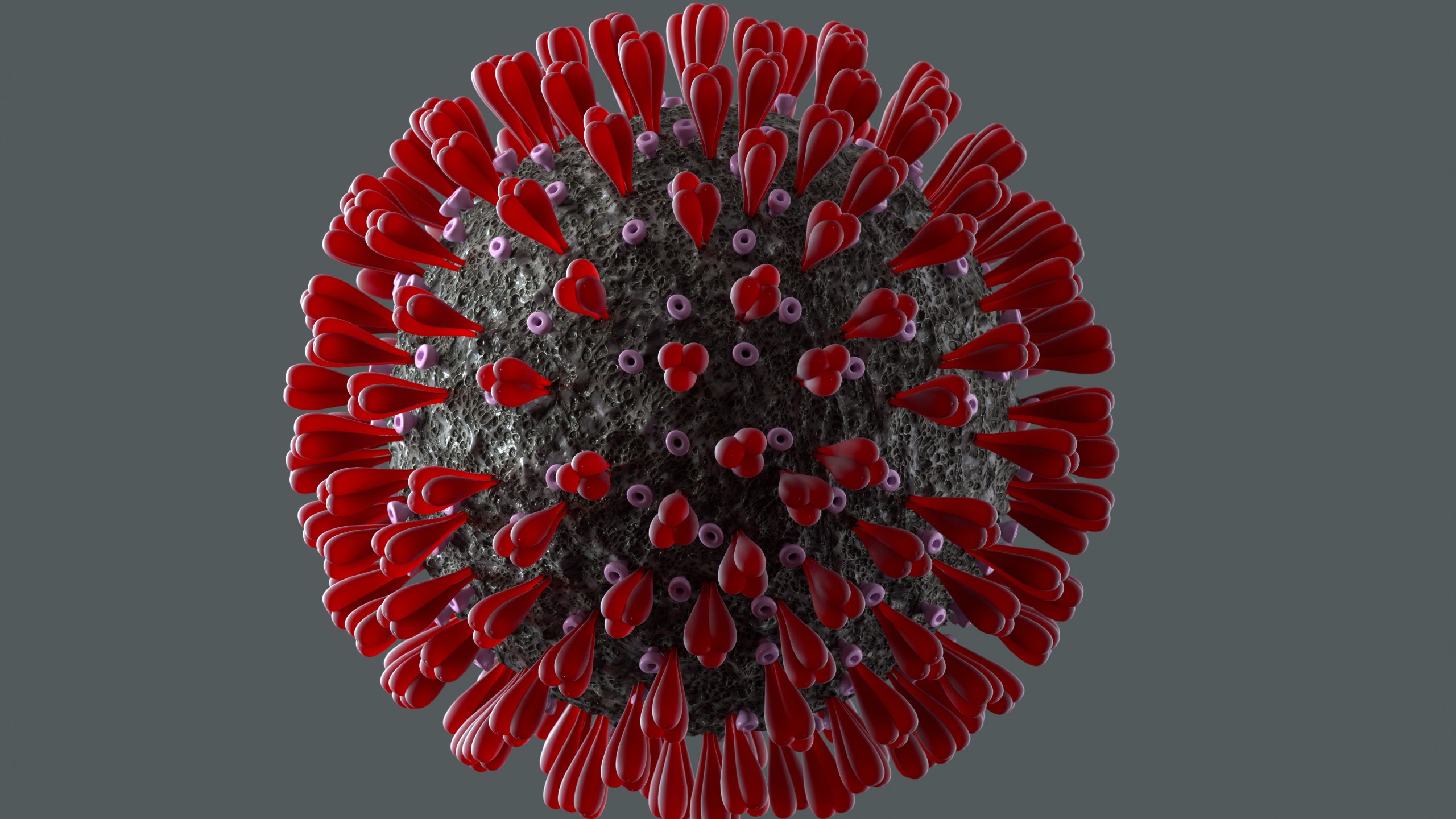 coronavirus graphic
