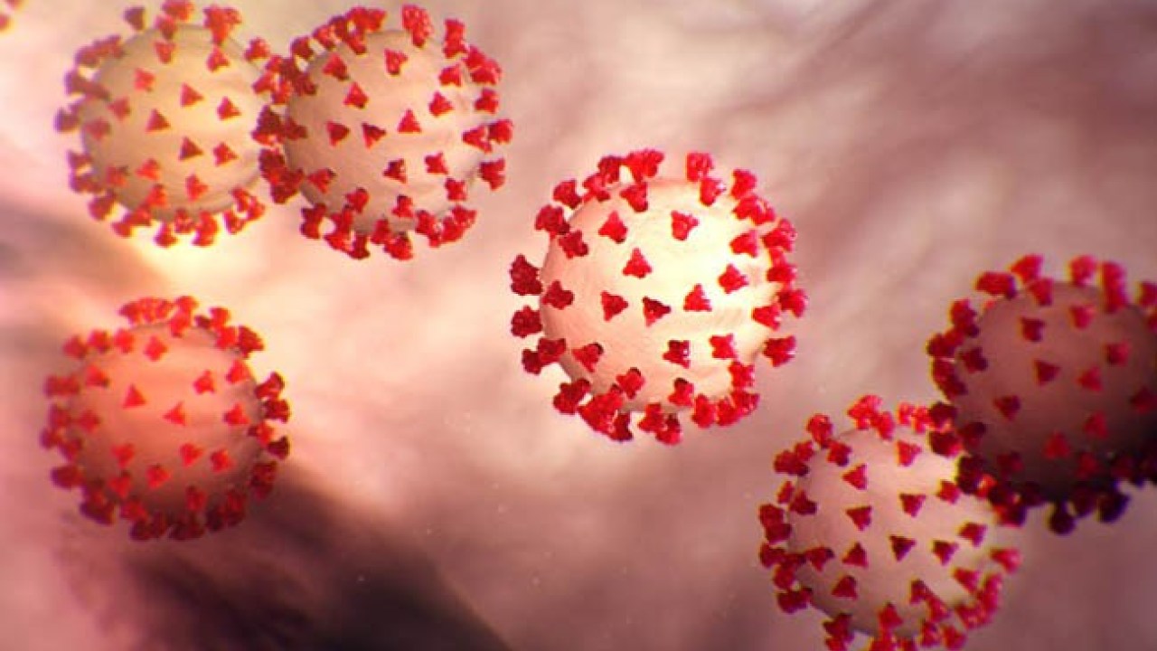 Graphic of coronavirus