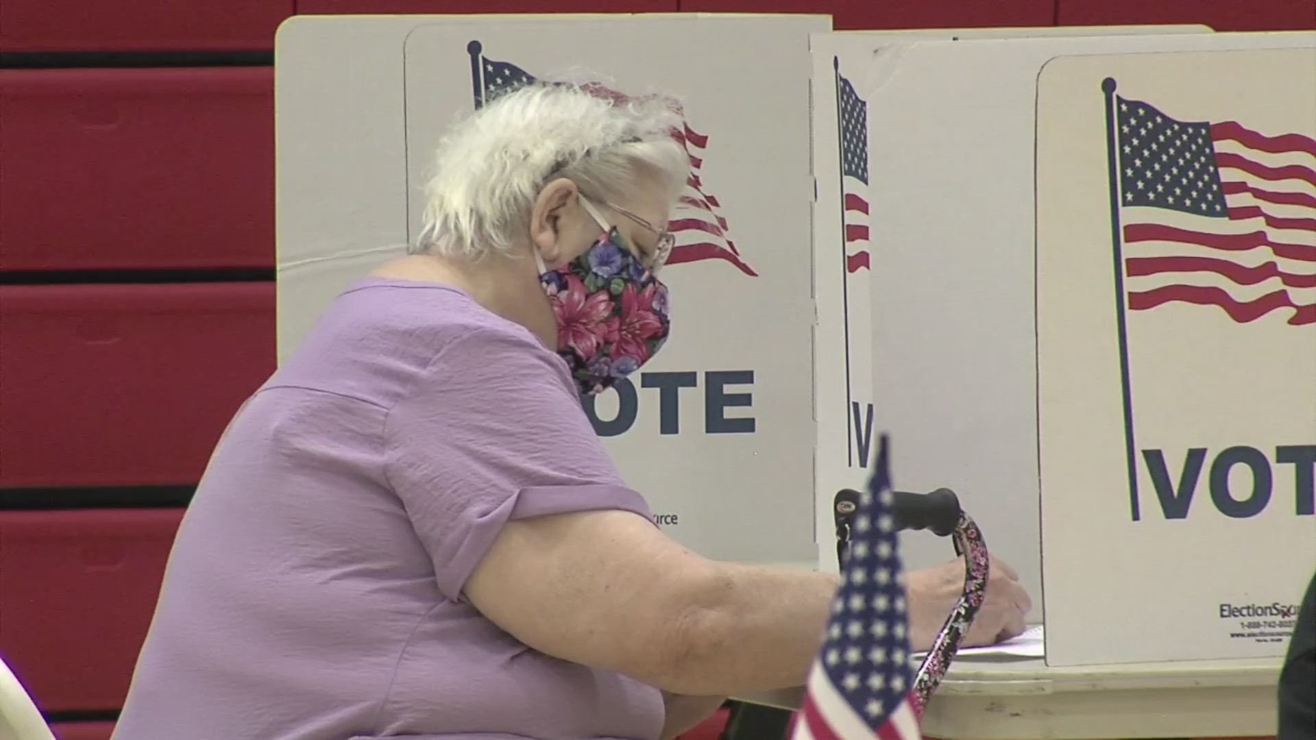 Picture of woman wearing mask voting