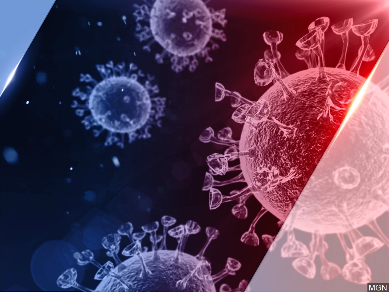 Graphic showing coronavirus rendering