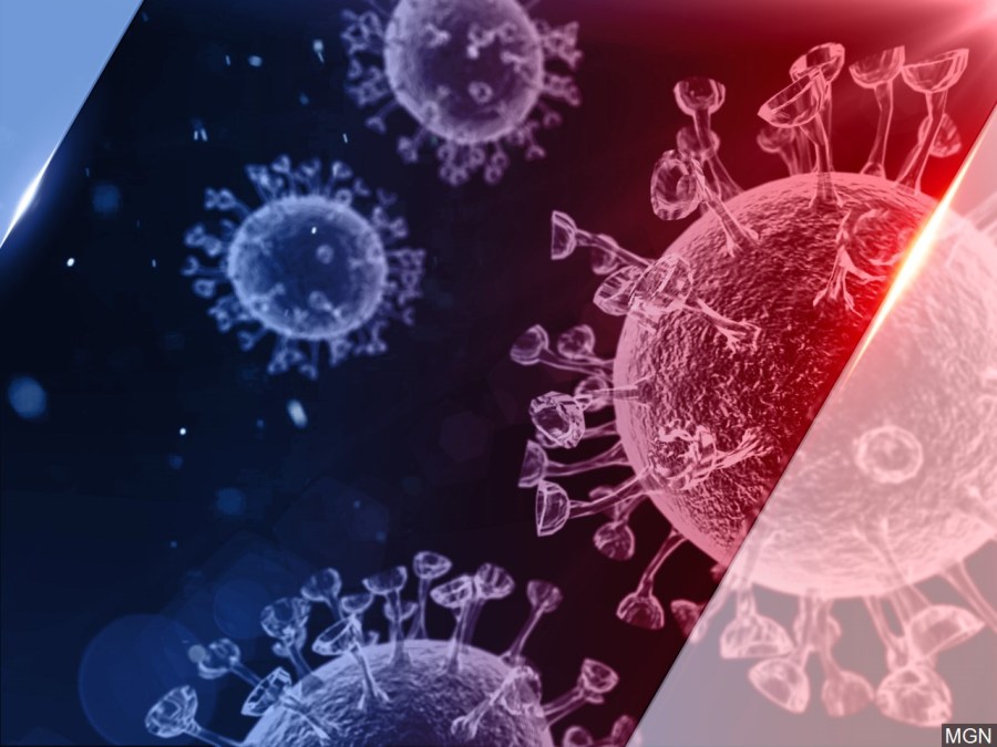Graphic showing coronavirus rendering