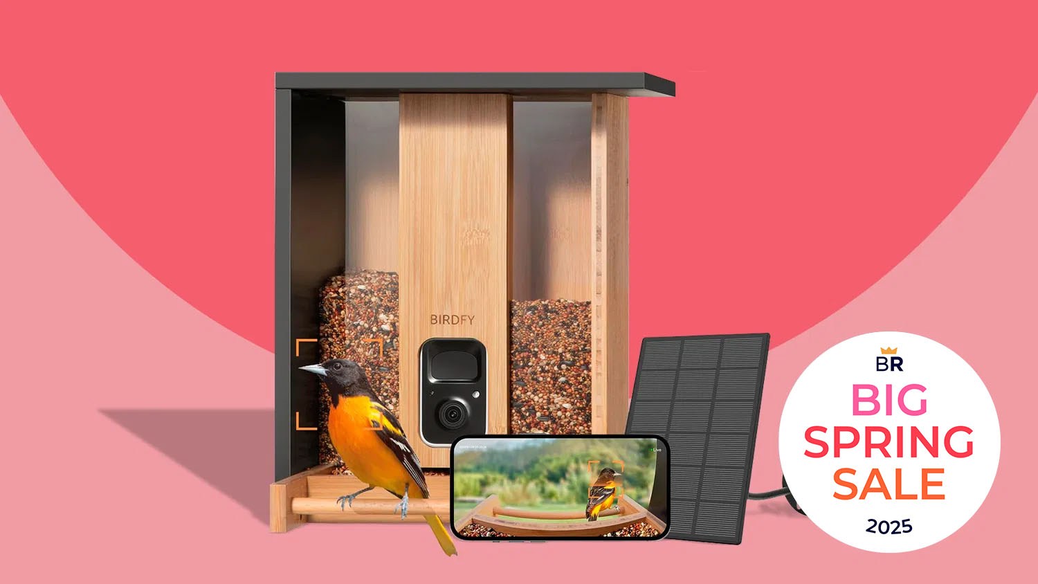 BestReviews illustration / Everyone’s buying smart bird feeders during Amazon’s Big Spring Sale